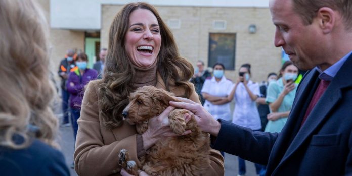 Kate Middleton meets an adorable therapy pup at Lancashire Hospital

